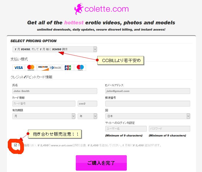 colette.com決済画面