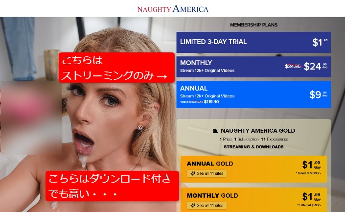 Naughty America入会プラン選択